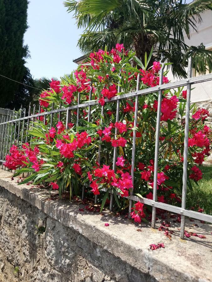 Charming Hill Apartment Opatija Exteriér fotografie